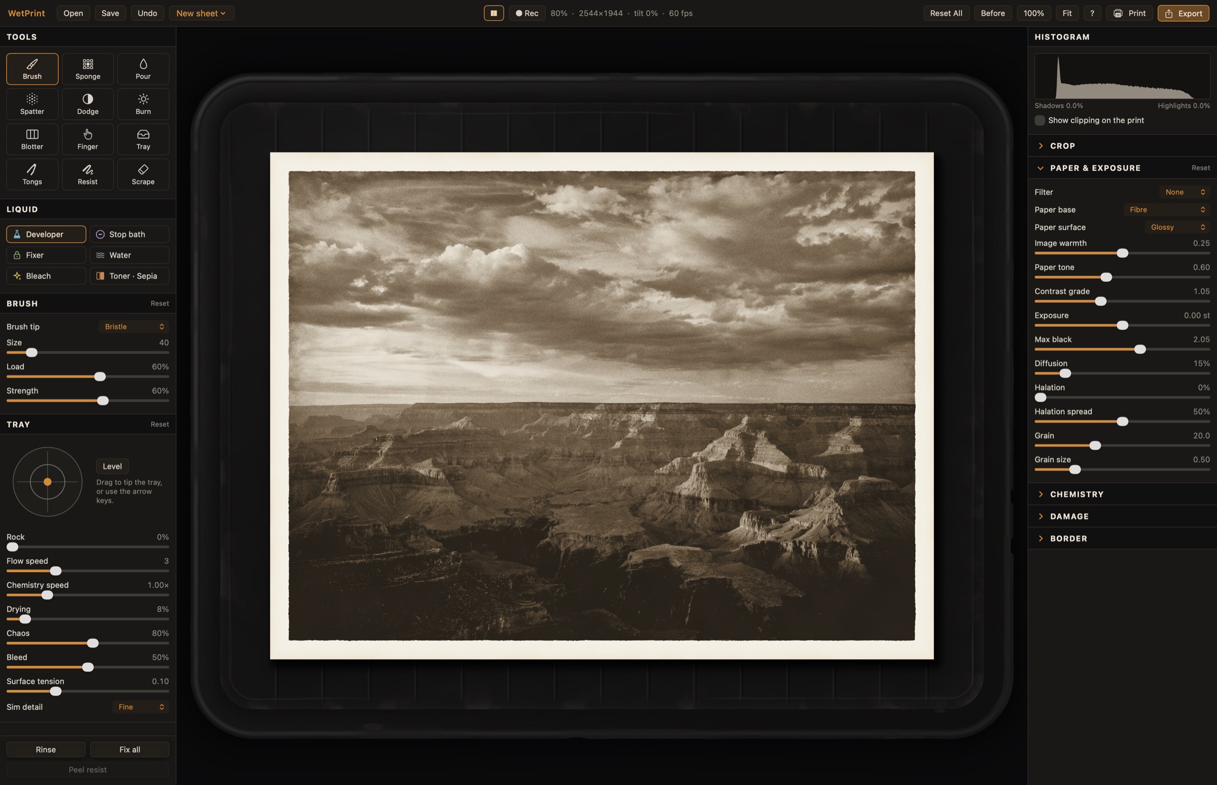 WetPrint's window: a sepia-toned print of the Grand Canyon lying in a darkroom tray, with the tools on the left and print settings on the right