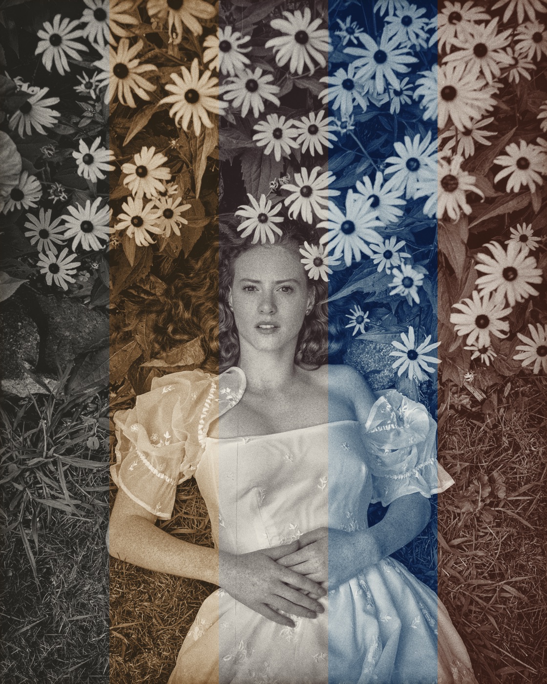 A toner test strip: one portrait in five bands, untoned, sepia, selenium, cyanotype and copper